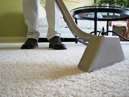 Warren Carpet Cleaning business image