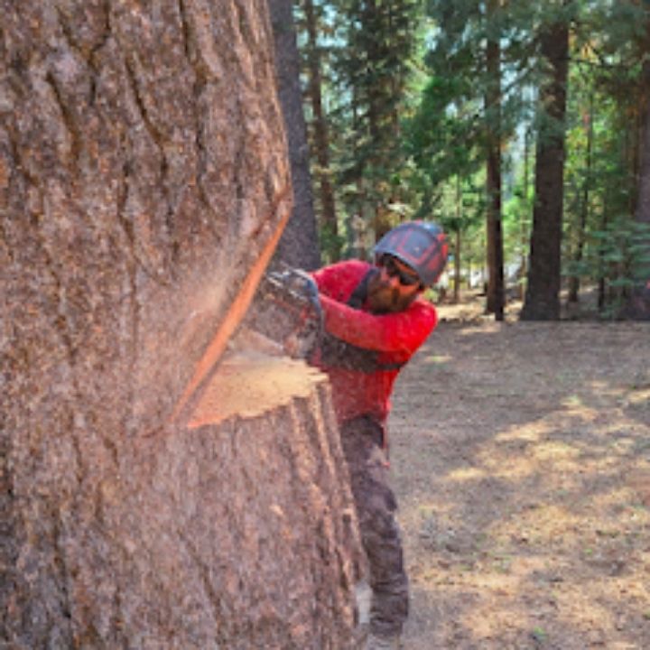Jeremiah's Tree Service business image