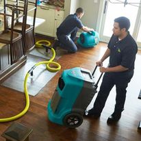 Livonia Mold Inspection business image