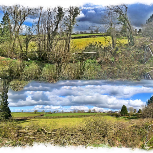 Cornish Trees & Gardens Ltd business image