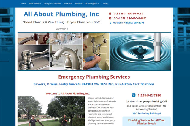 AmeriWeb Hosting business image