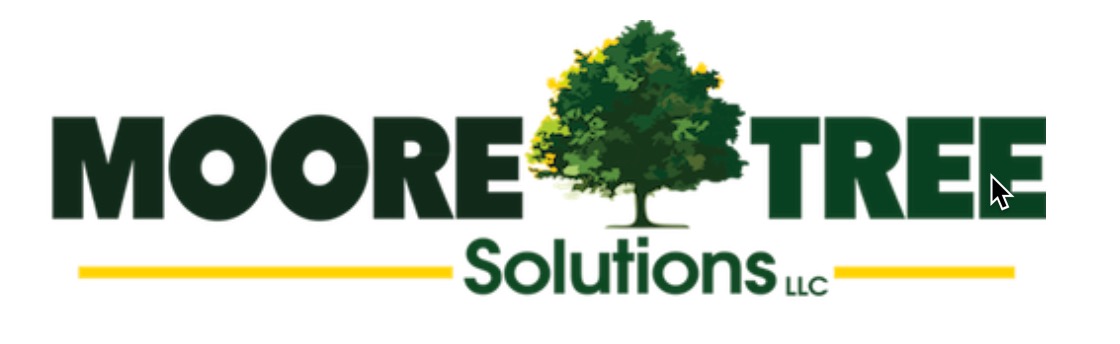 Moore Tree solutions business image