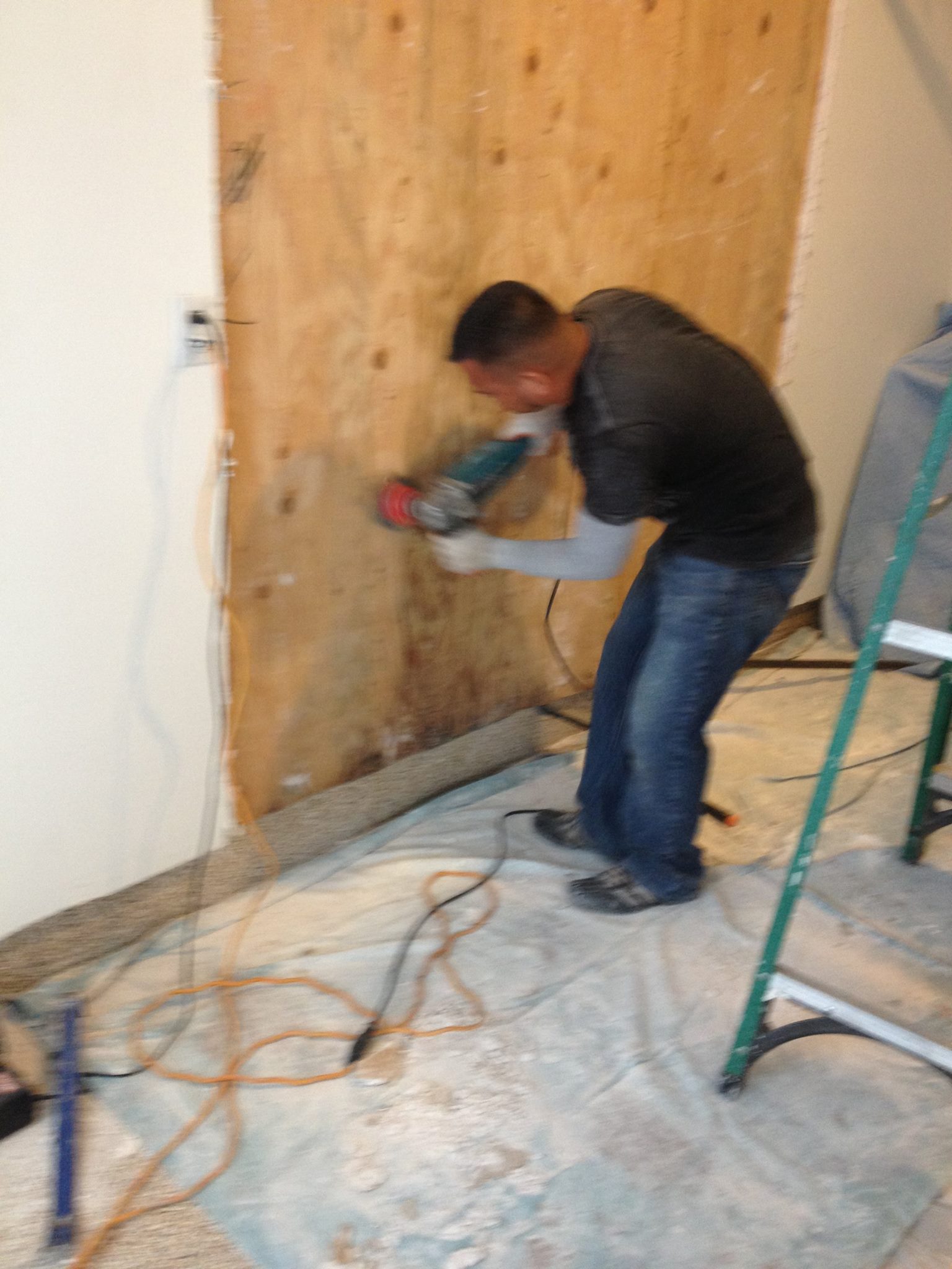 Tarzana Mold Removal and Water Damage business image