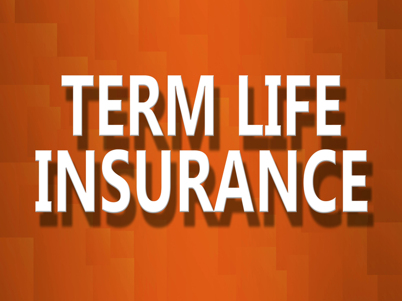 Brookhaven Life Insurance Experts business image
